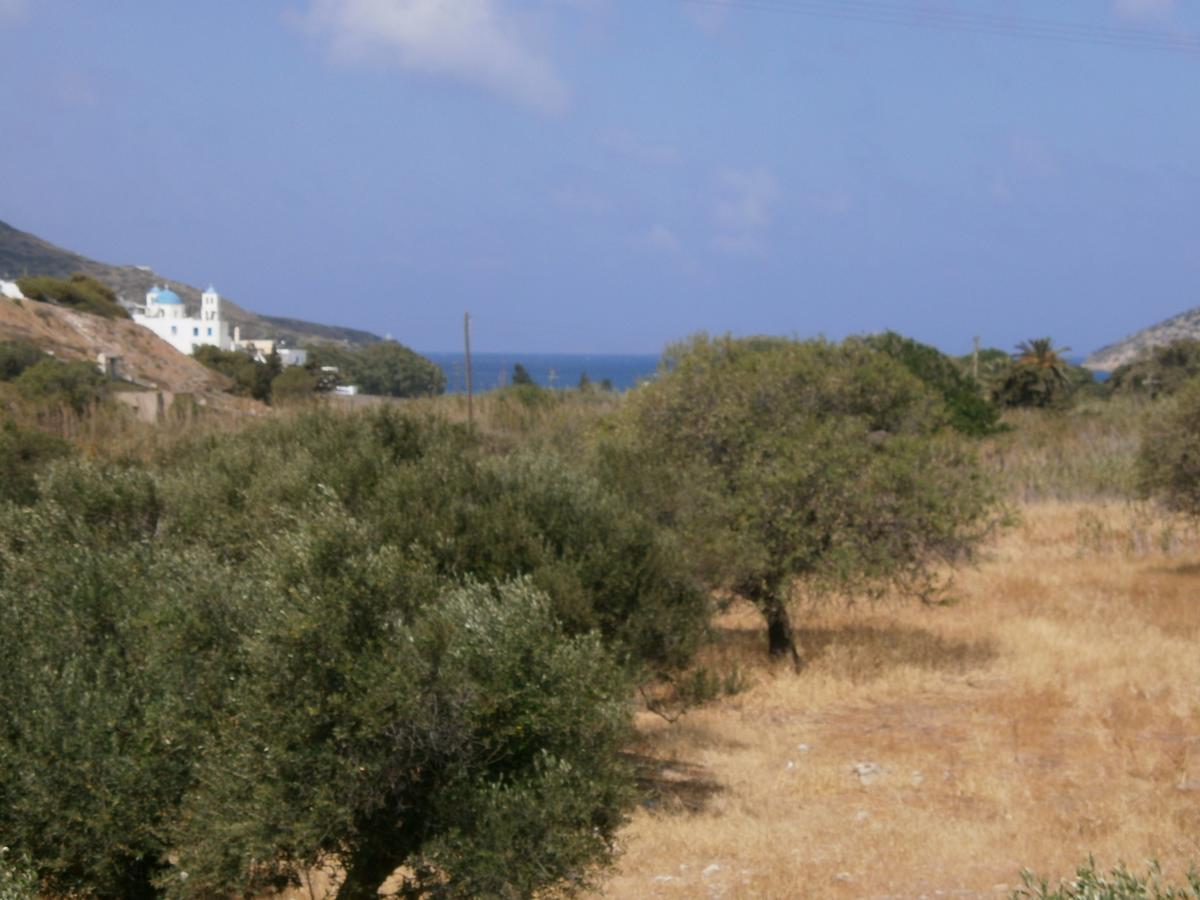 Amorgaia3 Katapola Exterior photo